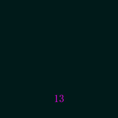 13