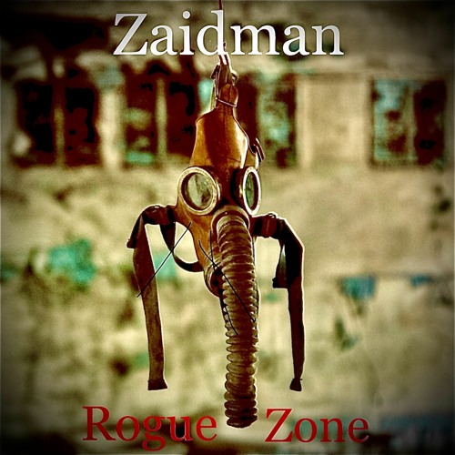 Rogue Zone