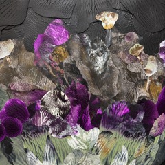 Sounds for Cosmic Corals