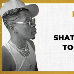 Shatta-Wale-–-Too-Ugly.