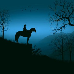 Under The Cover of Night