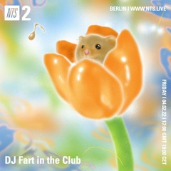 DJ Fart In The Club 040222