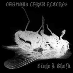 OER SIEGE I: She!k