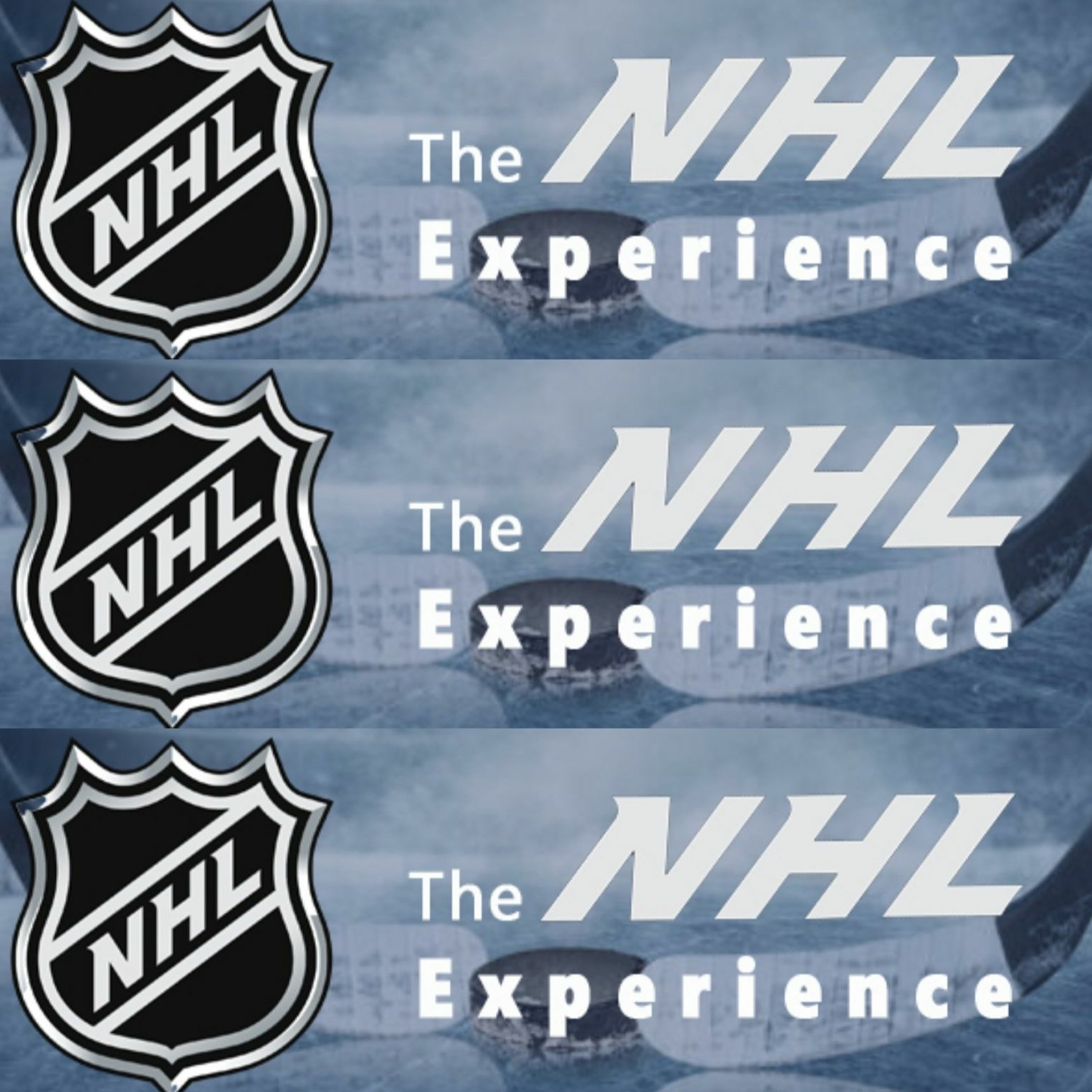 Tuesday, July 23: The NHL Experience