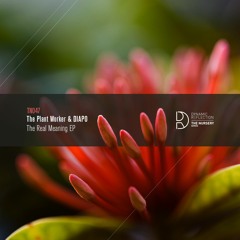 The Plant Worker & Diapo - Grogrott