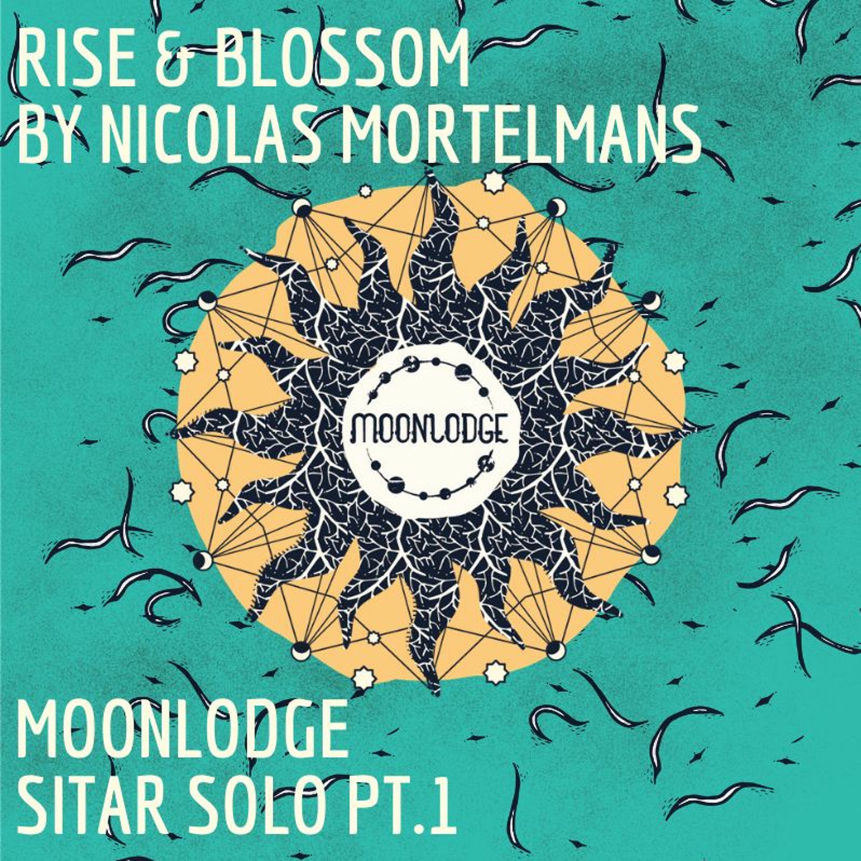 John D | MoonLodge