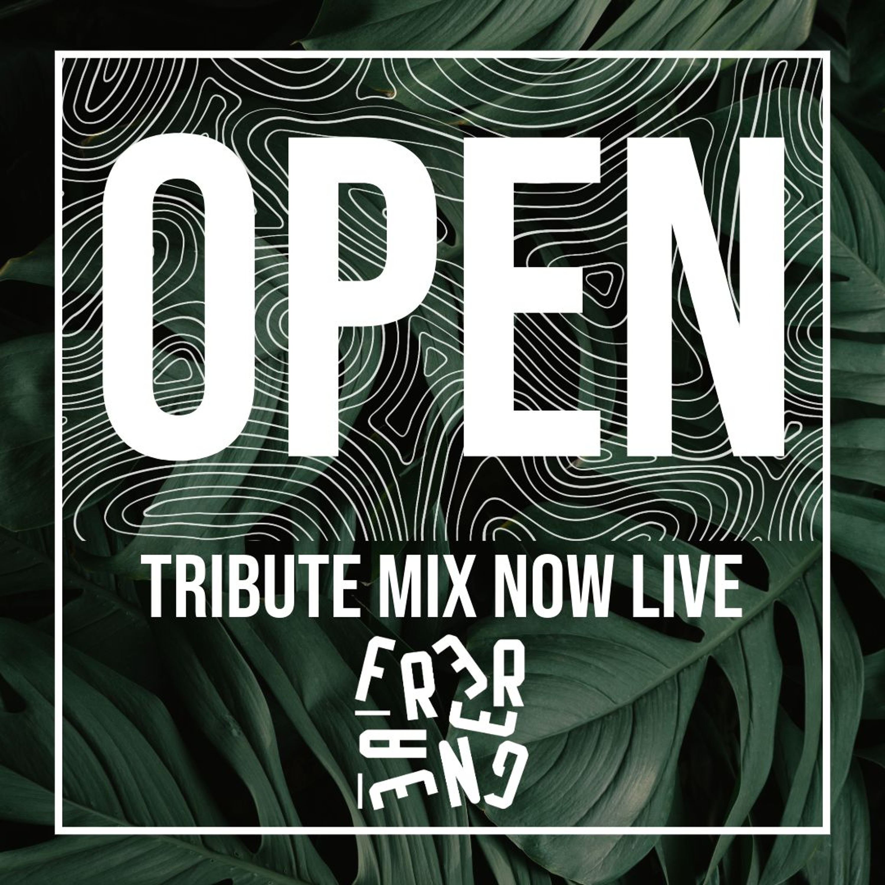 OPEN presents.... A Tribute to FREERANGE RECORDS episode artwork
