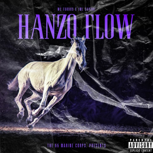 H4NZO FLOW