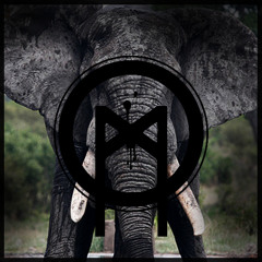 Elephant chant