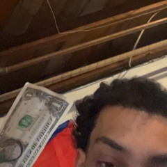 Tryna get rich bye birdbusinness