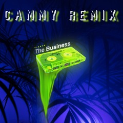 Tiesto - The Business (Cammy Remix)