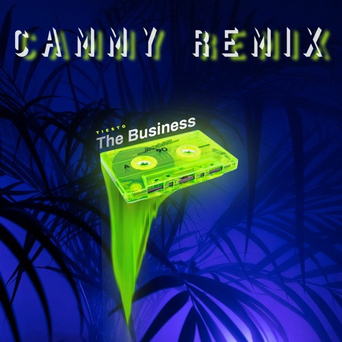 Tiesto - The Business (Cammy Remix)