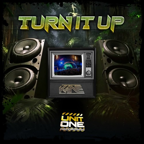K4NE - Turn It Up