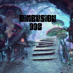 Dimension #002