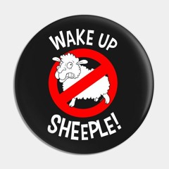 Wake Up, Sheeple! (Burning Man 2022, Shenanigan Wagon - Thursday Morning)