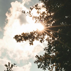 Home Again Main Wave - Sunday Second Wave - 6.23.24