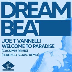 Joe T Vannelli - Paradise (CASSIMM remix)