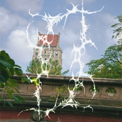 crazyyy(prod.tiresss)