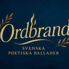 Du Trodde Jag Sov