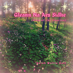 Gleann Na Aes Sídhe (Glen of the Faeries)
