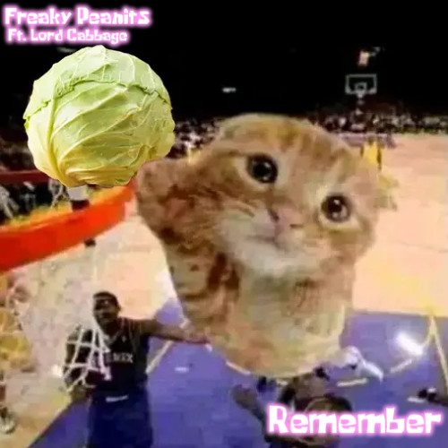 REMEMBER (Ft. Lord Cabbage)