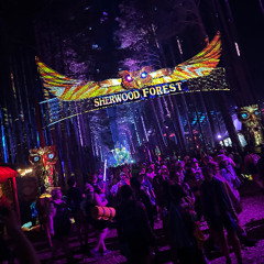 Zeds Dead at Electric Forest 2025 Full set
