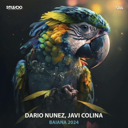 Baiana 2024 (Original mix)