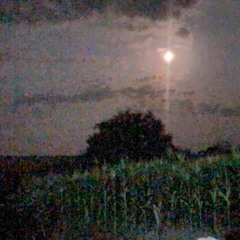 jaevon - keepcrying prod gxmini (gapjackets exclusive)