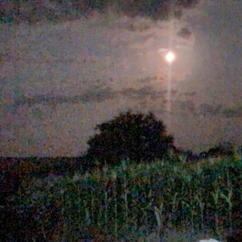 jaevon - keepcrying prod gxmini (gapjackets exclusive)