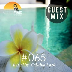 Episode 65 mixed by Cristina Lazic