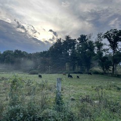farm by skullcrusher voice memo