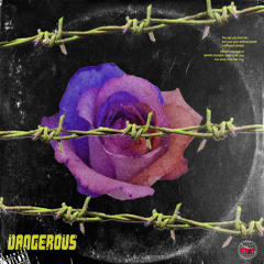 Dangerous <\3 ( Ft. Wavy Wave)