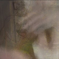 Lavieestuneformedautomutilation