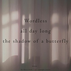 haiku #532: Wordless / all day long / the shadow of a butterfly