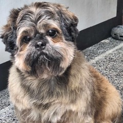 Carried Away (demo) [Prod. by Flipmagic]