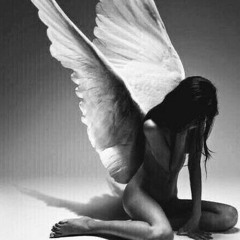 94:A2:53:71:93 fallen-angel 28042023