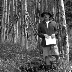 Populus tremuloides: Brandon Vogt