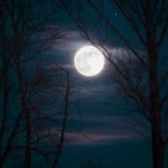 clusterfuck - pełnia remix (prod. antropolita)