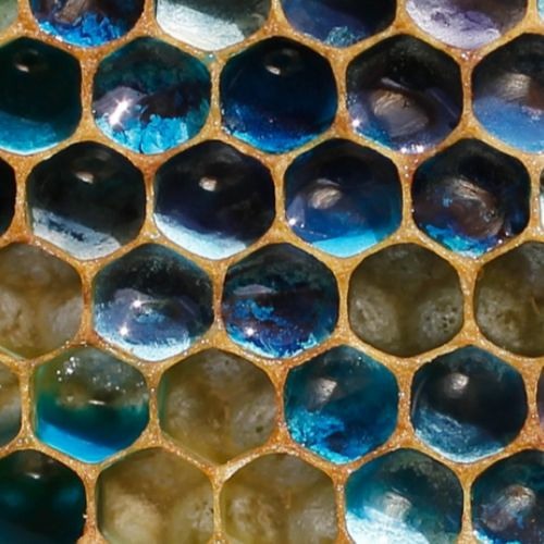 Hive