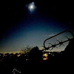 0223 Alignment Mix