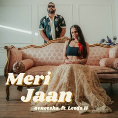 Meri Jaan (feat. Leeda H)