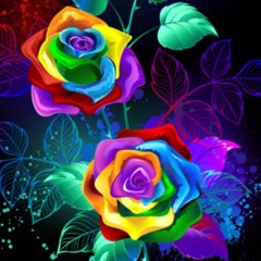 ☆●Find My Way●☆