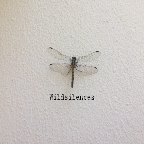 Wildsilences - Whispers of Ghosts, Shadows of Silences [Minimix]