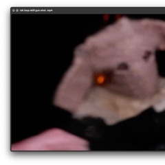 Rok_Loup_Skilf_Gun_Shot.wav