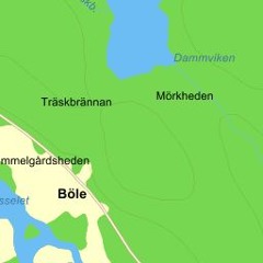 Fest På Böle