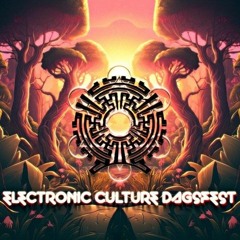 Electronic Culture - Day Party (closing set)