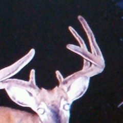 i will not be nothing