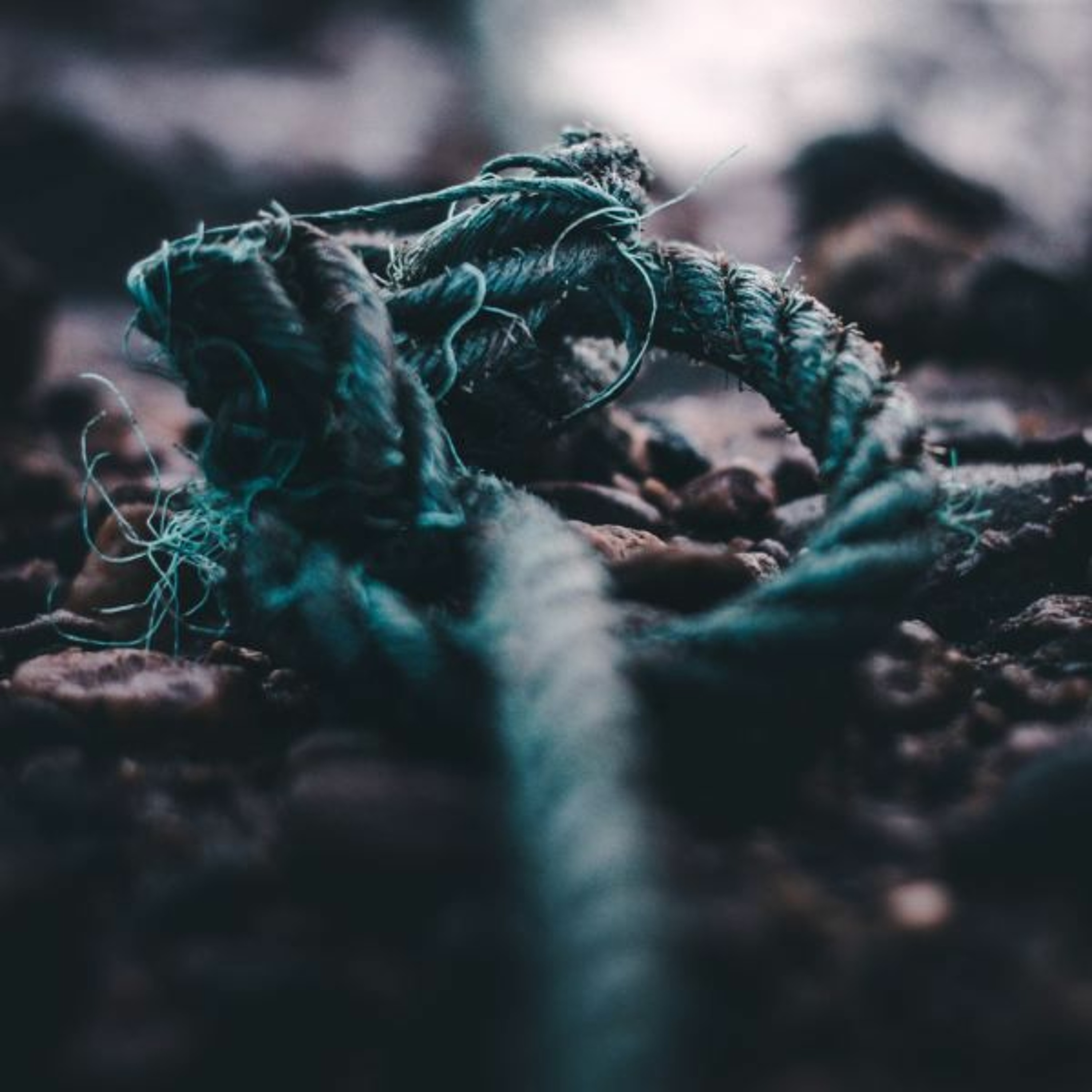 When Life Is Hanging By A Thread episode artwork