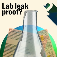 Do New Documents Prove a COVID Lab Leak?