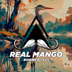 REAL MANGO (Original Mix)